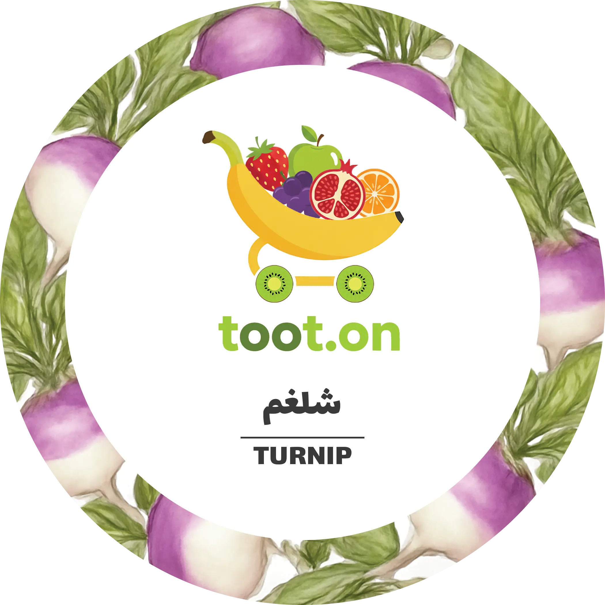 شلغم